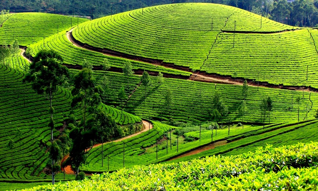 kodaikanal to coimbatore cab